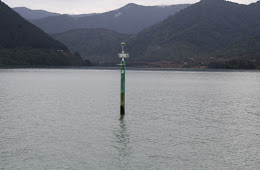 Penguin Bay to Havelock - The Last Hurdle