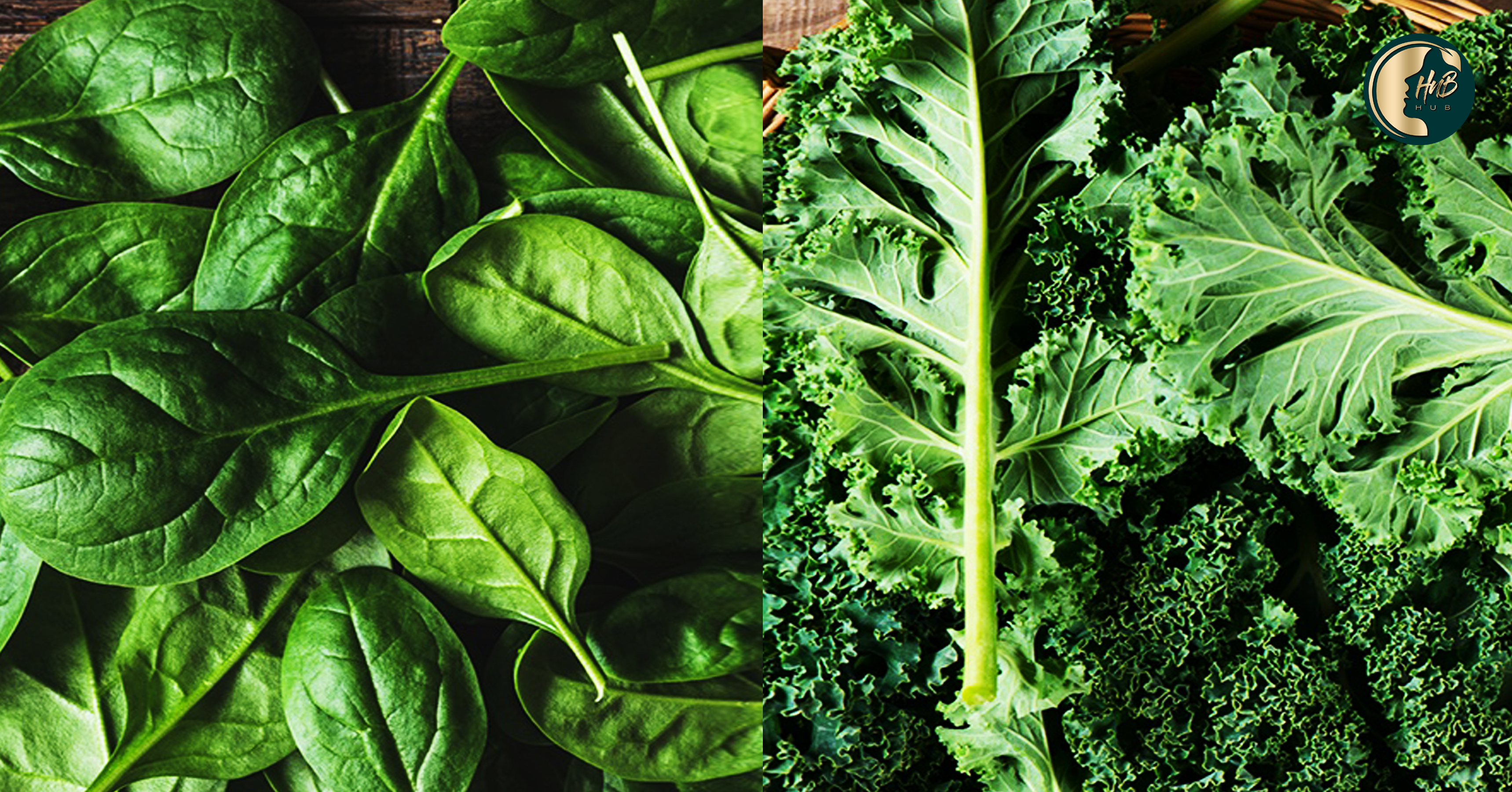 Leafy Greens like spinach and kale for new Growing and Strong Hair! Health n Beauty HuB