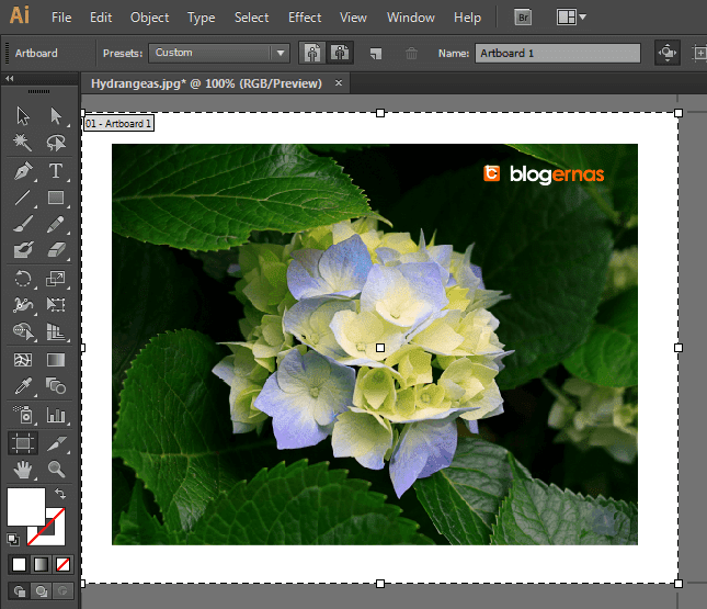 Cara Crop Gambar dengan Adobe Illustrator