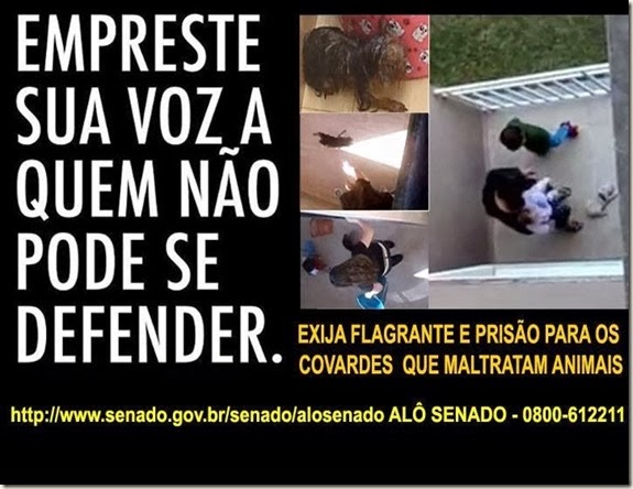 alo-senado[3]