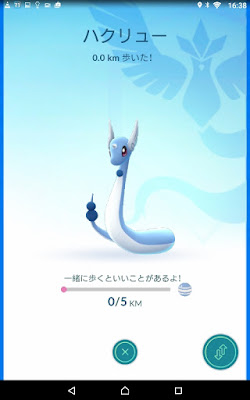 Buddy Dragonair