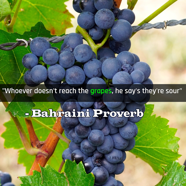 Bahraini Proverb - Whoever doesn't reach the Grapes, he say's they're sour.