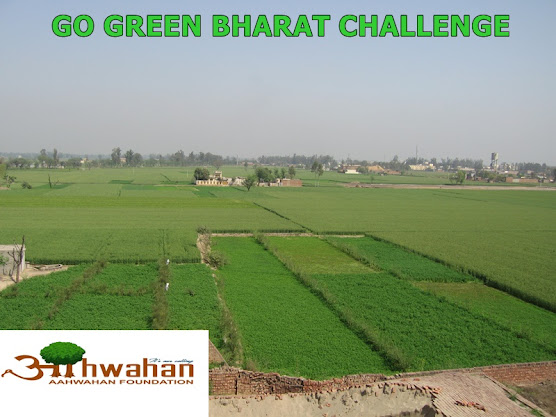 GO GREEN BHARAT CHALLENGE