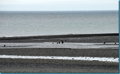 DSC_0001-1