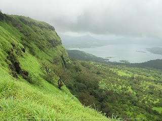 palakkad