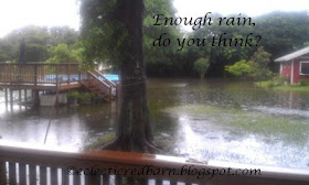 Eclectic Red Barn: Flooded back yard