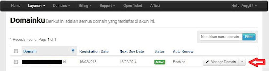 klik tombol manage domain