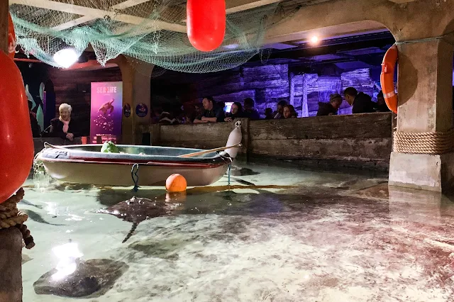 A large open pool with a boat in and ray swimming around