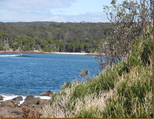 IMG_3965 Bittangabee Bay