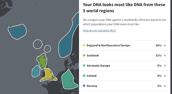 map of Europe, graphically showing the previously noted DNA breakdown