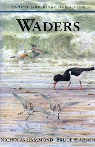 Waders