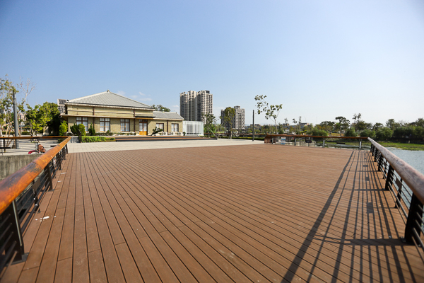 台中湧泉公園星泉湖賞愛心水草和水鳥，文明之基和滿月指輪好好拍