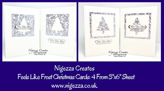 Nigezza Creates with Stampin' up! Feels Like Frost DSP