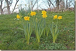 IMG_1320