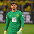 Borussia Dortmund busca estender o contrato do goleiro Kobel até 2027