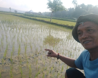 Sampang Hebat Bermartabat Pesta Pora Menjelang Harjad Ke 399, di iringi Jeritan Petani MiskinSampang Hebat Bermartabat Pesta Pora Menjelang Harjad Ke 399, di iringi Jeritan Petani Miskin