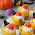 Spooky and Sweet Halloween Treats: Pumpkin Pudding & Cafe Mocha Mousse