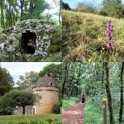 Varied vegetation and small cultural heritage along the hiking trials.