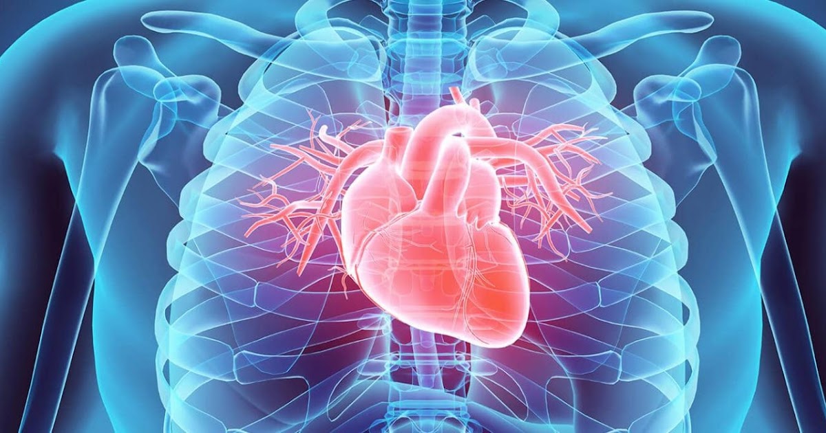 Dilated Cardiomyopathy Affects Several Individual around the World Each Year After an Illness Such As Viral Infection Or Pregnancy