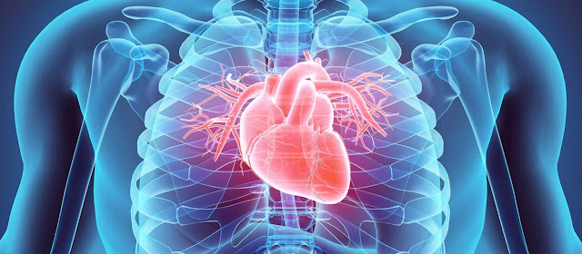 Dilated Cardiomyopathy Market