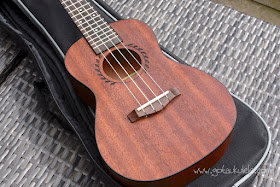 Makanu Mahogany Concert Ukulele body