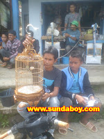 kontes burung pleci garut