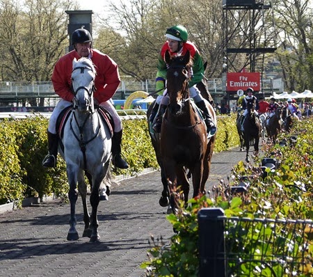 race 7 _se sauver