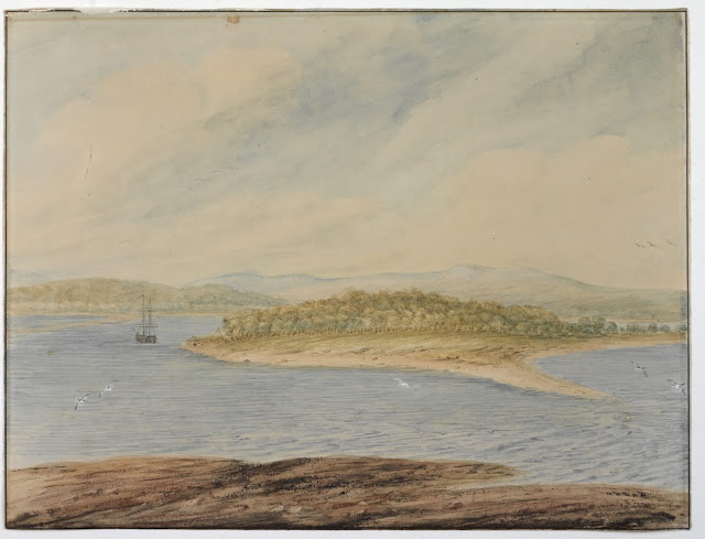 Coal River N.S. Wales, 1807 / watercolour by J. W. Lewin from an earlier sketch in c. 1801