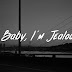 Babe Rexha - Baby,I'm jealous song lyrics in English 
