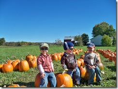 fall 2010 007