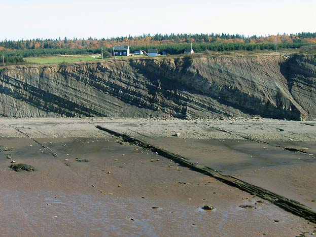 Joggins Fossil Cliffs