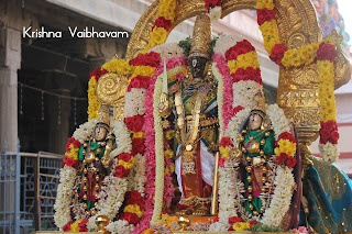 MadhaPurppadu,Thai,Ekadesi,Vaibhavam,Dharisanam, Sri PArthasarathy Perumal, Perumal, Venkata Krishna , Varushotsavam, 2018, Video, Divya Prabhandam,Triplicane,Thiruvallikeni,Utsavam,