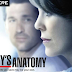 Premiere: Grey's Anatomy - 11ª temporada