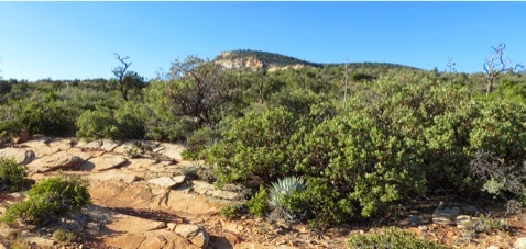 HikingBearMountainTrail-15-2013-10-12-19-56.jpg