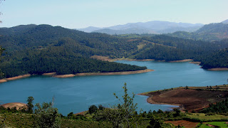 Ooty