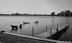 black and white nd filter, lake floating, calm sunny floating lake, cottage lake