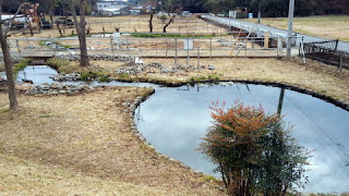 多摩散歩は、鶴見川源流