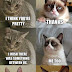 Funny grumpy cat, grumpy cat jokes, grumpy cat funny, grumpy cat humor