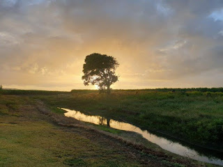 Rural Queensland