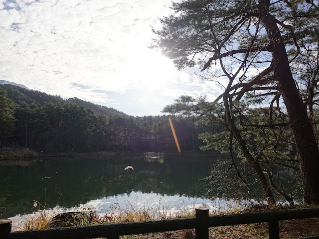 ロイヤルシティ大山の別荘地　大成池