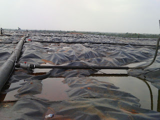 http://hdpewavinblack.blogspot.co.id/2015/03/tehnik-pemasangan-geomembrane-hdpe.html