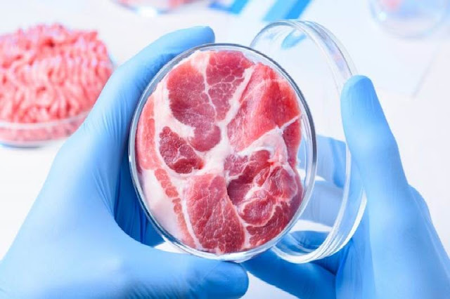 La producción de carne cultivada empeora el cambio climático en comparación con la carne de vacuno: Un estudio revela su alta huella de carbono