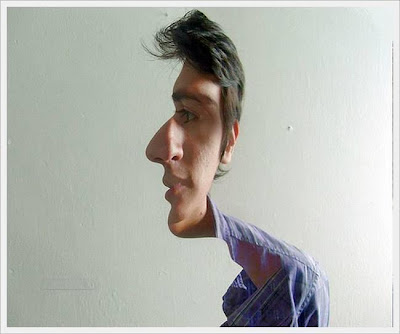 Confused Double Face Optical Illusion