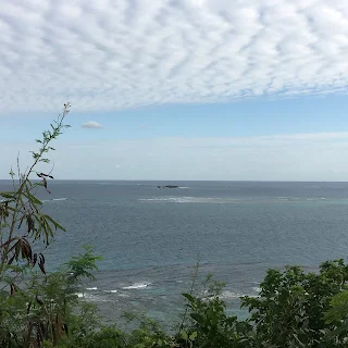 知念岬公園から望む海