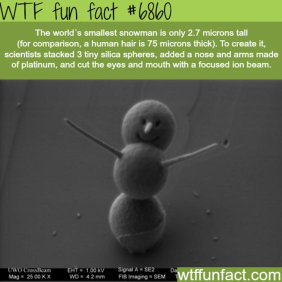 Amazing Weird And Interesting Random Facts