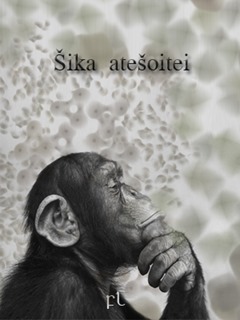 Šika atešoitei Cover