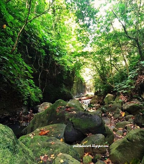 [http://FindWisata.blogspot.com] Mengeksplor Pesona Keindahan Air Terjun Way Tayas Lampung