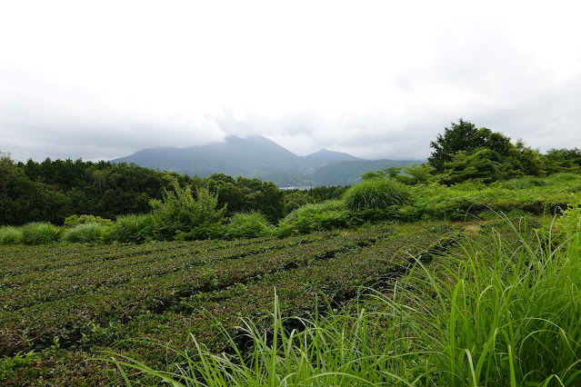 鳥取県米子市淀江町西原 つぼかめ山