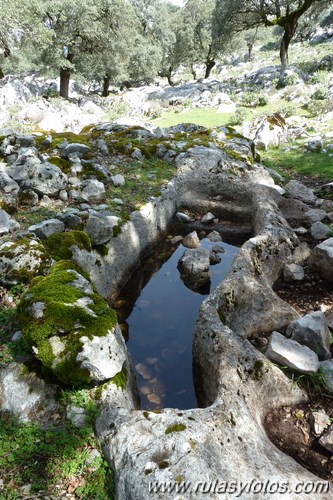 Pilones de la Sierra de Grazalema