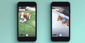 on-demand dog walking app pet care mobile application pets sitting